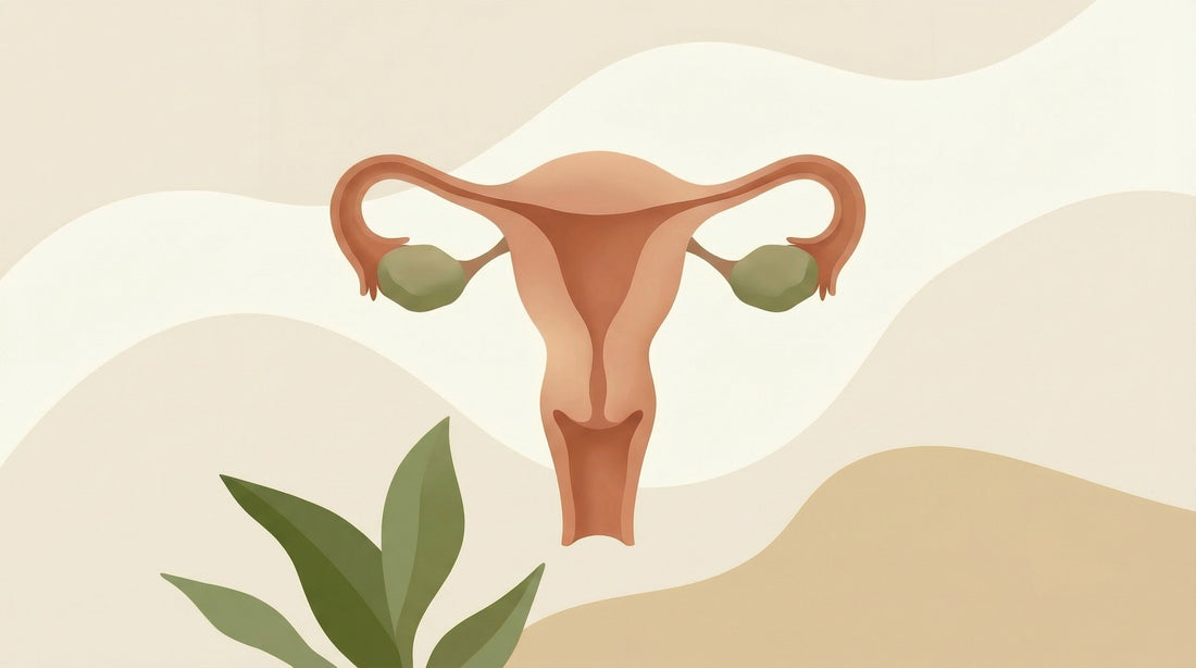 Menstruation efter fødslen – hvad kan du forvente?